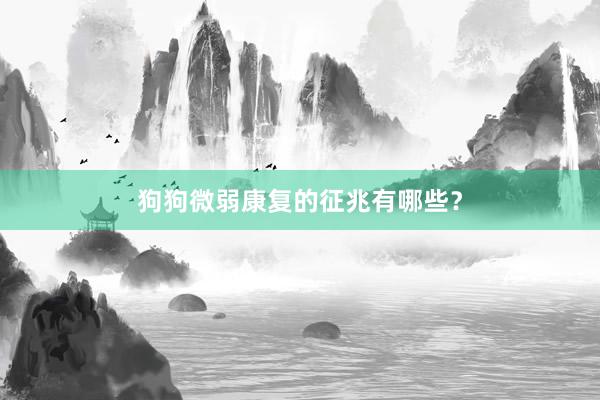 狗狗微弱康复的征兆有哪些？