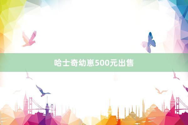 哈士奇幼崽500元出售