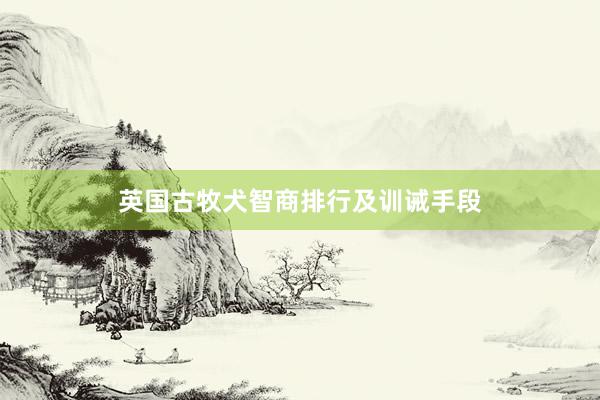 英国古牧犬智商排行及训诫手段